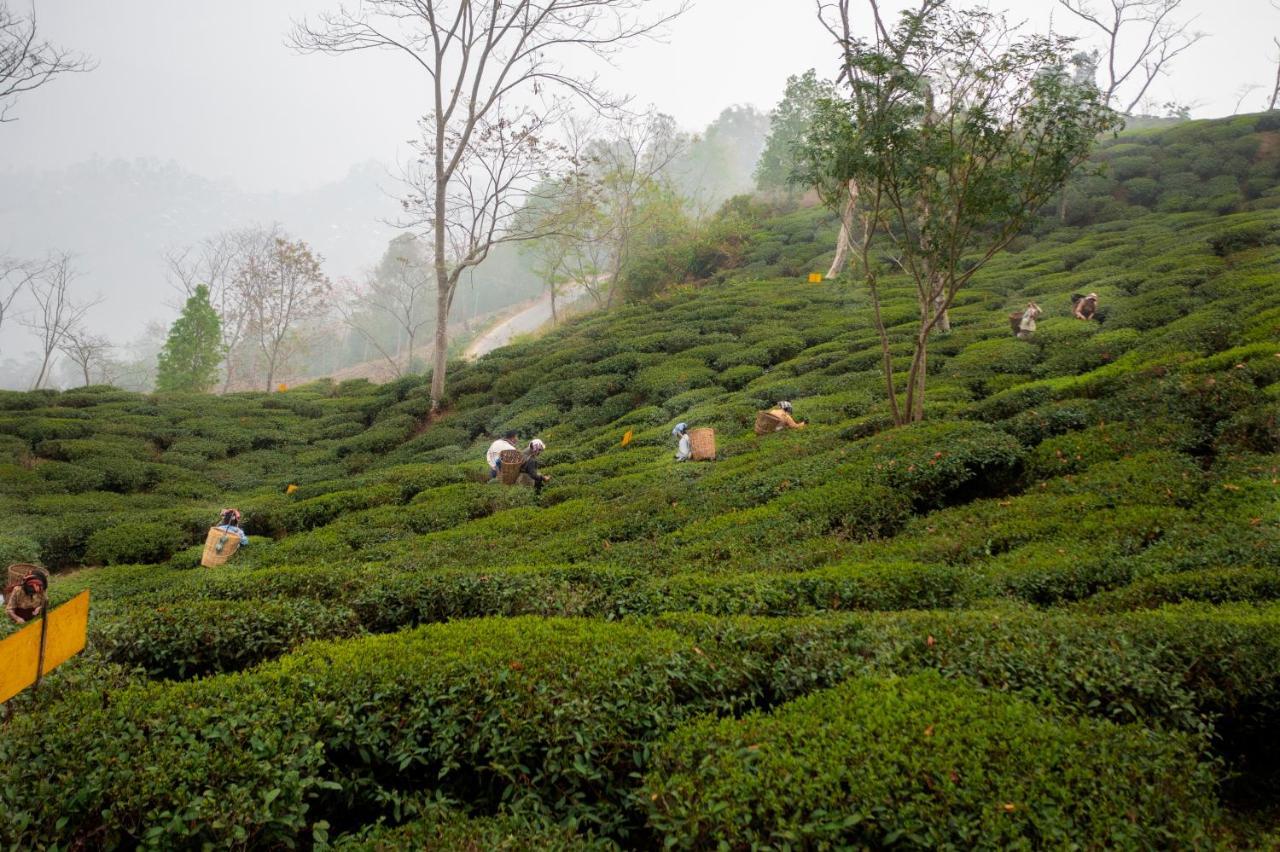Ama Stays & Trails Puttabong Cottage, Darjeeling Darjeeling  Eksteriør billede